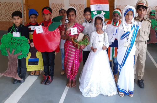 Fancy Dress Show Competition